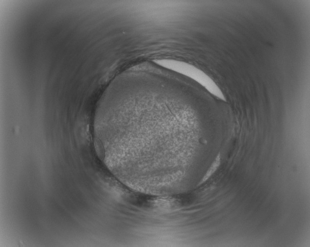 X0000062130615200512231440