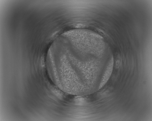 X0000062130620200512231440