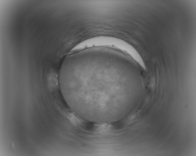 X0000062130621200512231440