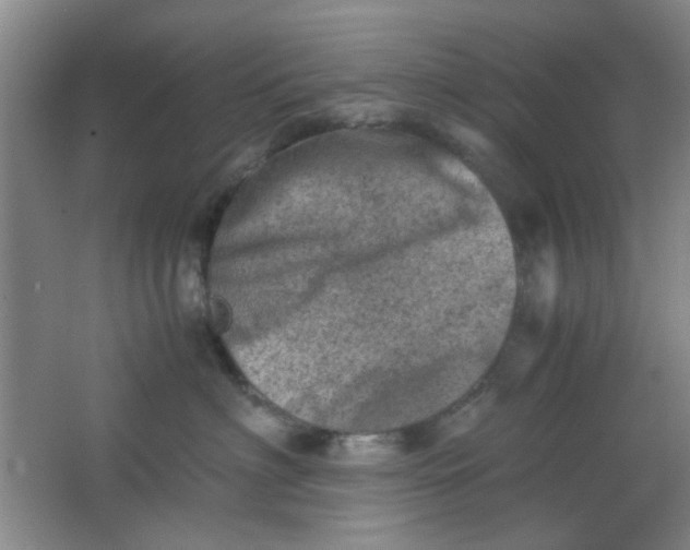 X0000062130622200512231440