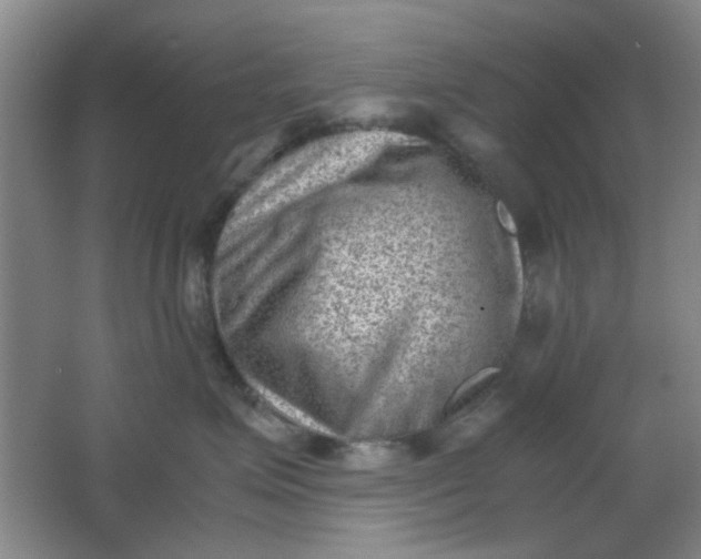 X0000062130623200512231440