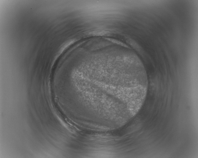 X0000062130626200512231439