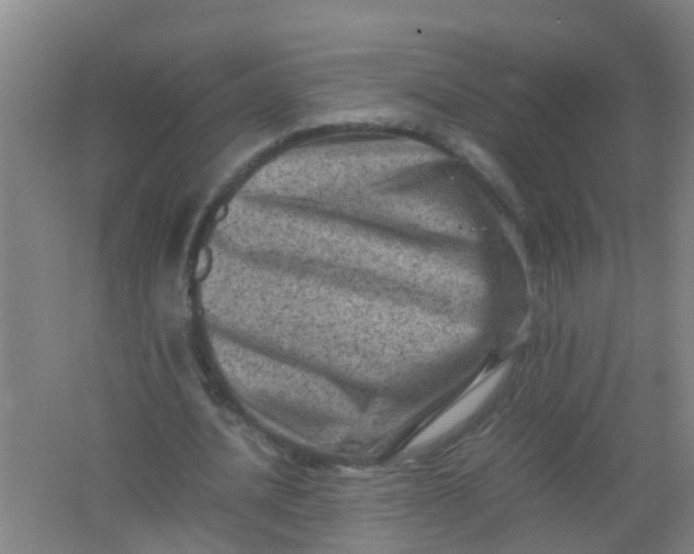 X0000062130628200512231439