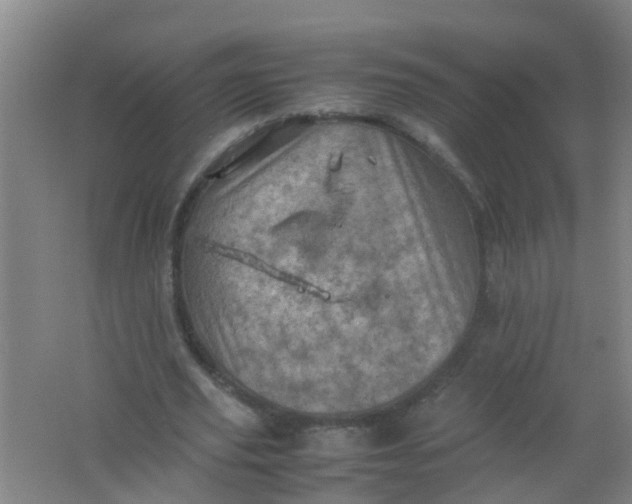 X0000062130629200512231439