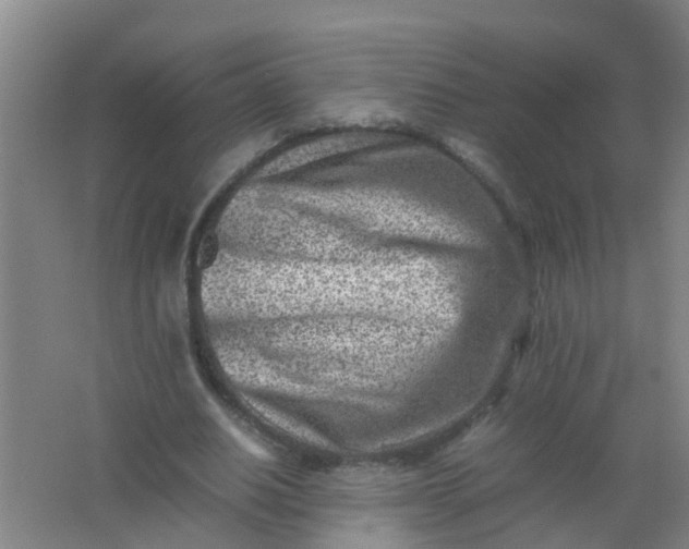 X0000062130630200512231439