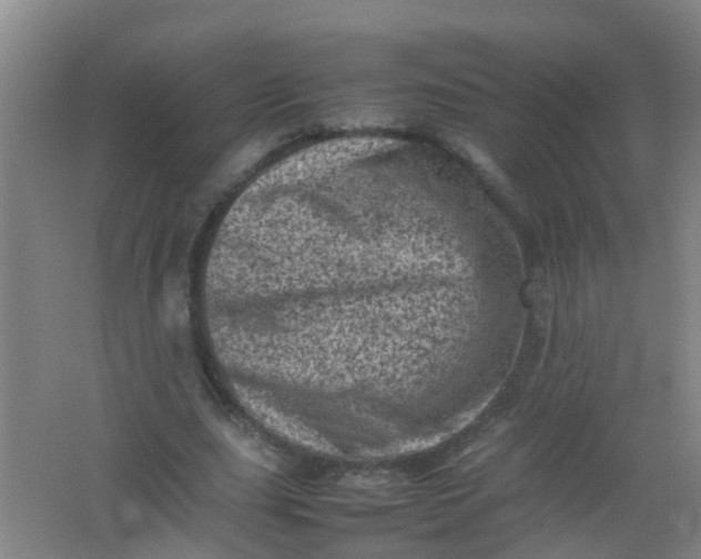 X0000062130631200512231439