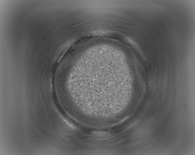 X0000062130633200512231439