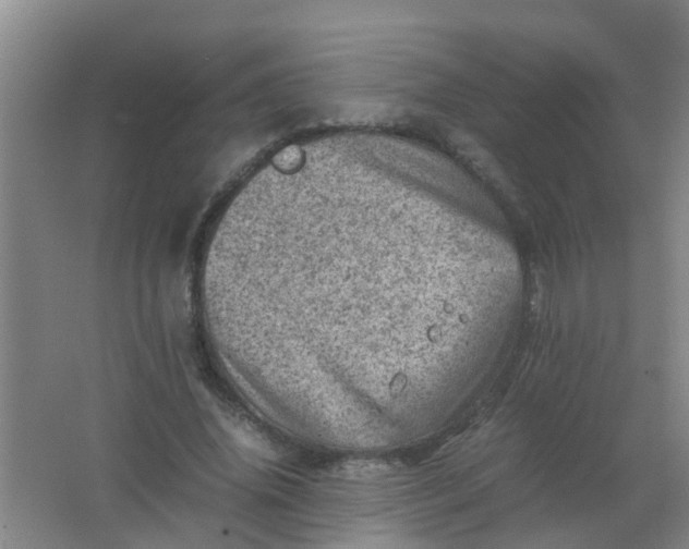 X0000062130636200512231439