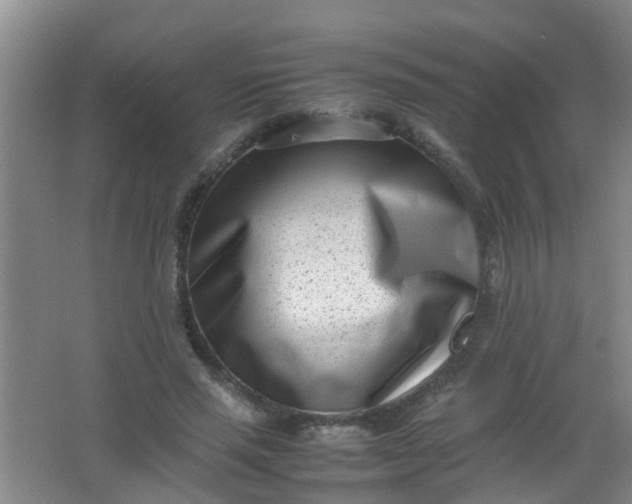 X0000062130637200512231439