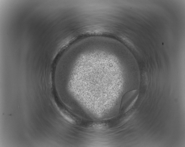 X0000062130638200512231439