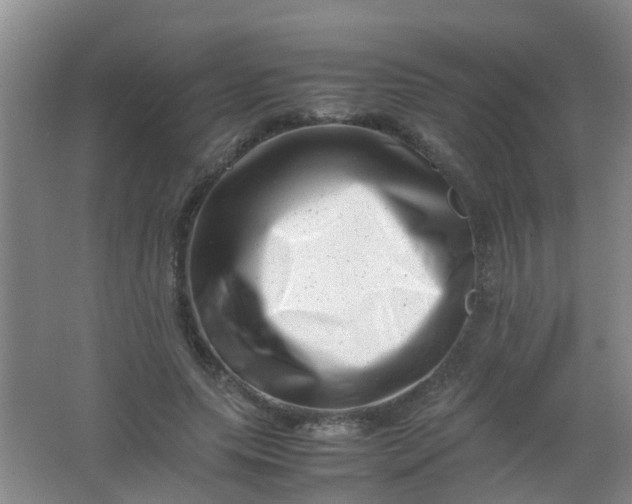 X0000062130639200512231439