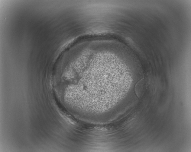 X0000062130640200512231439