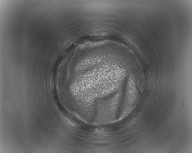 X0000062130641200512231439