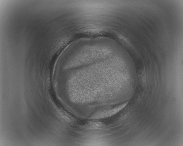 X0000062130642200512231439