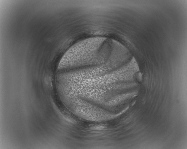 X0000062130643200512231439