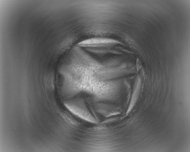 X0000062130644200512231439