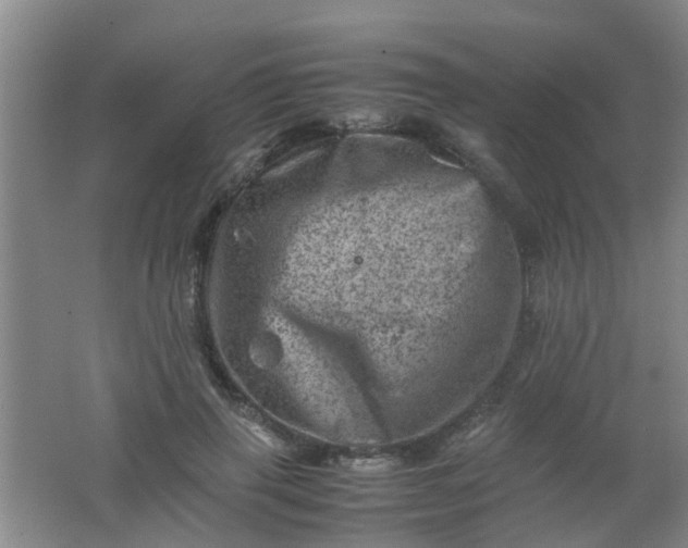 X0000062130645200512231439