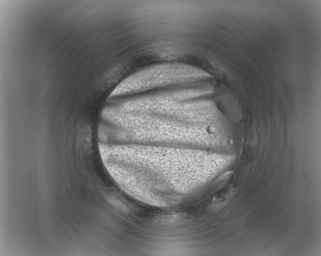 X0000062130646200512231439