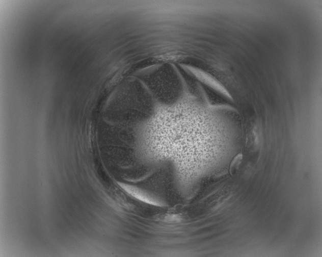 X0000062130647200512231439