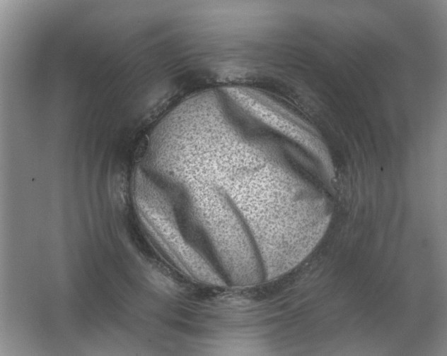 X0000062130648200512231439