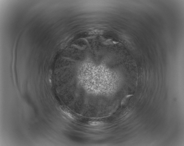 X0000062130649200512231439