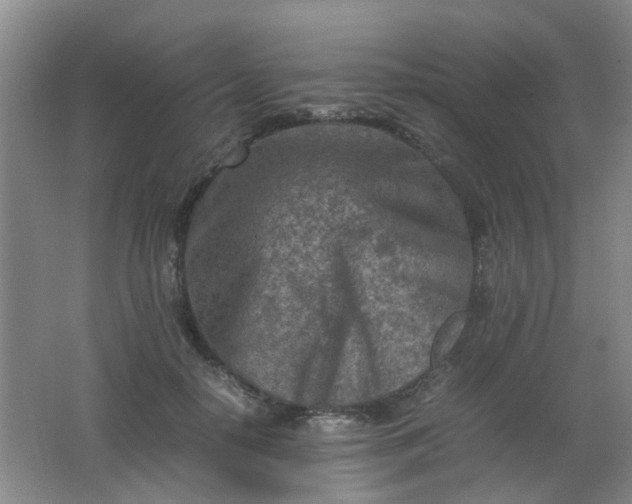 X0000062130650200512231439