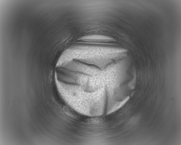 X0000062130652200512231439