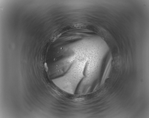 X0000062130653200512231439