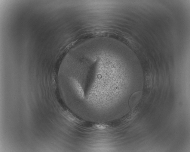 X0000062130654200512231439