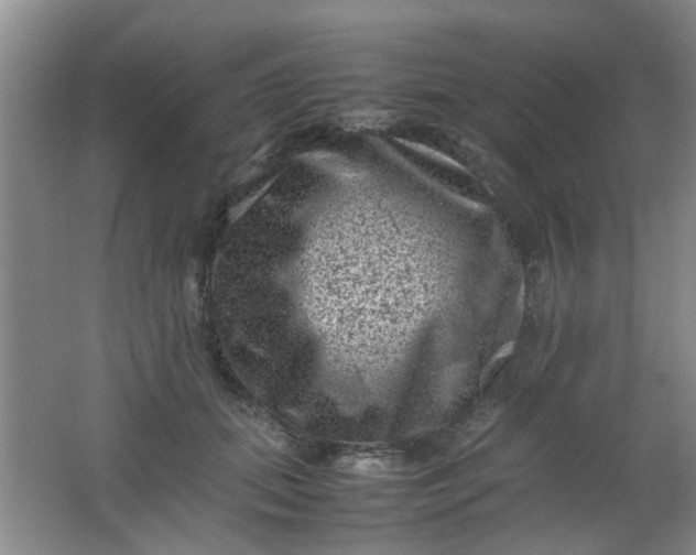 X0000062130655200512231439