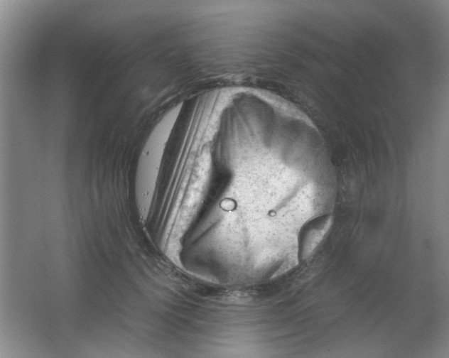 X0000062130656200512231439