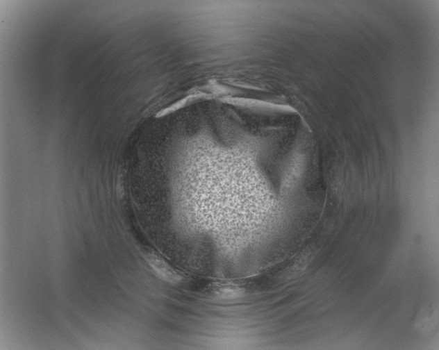 X0000062130658200512231439