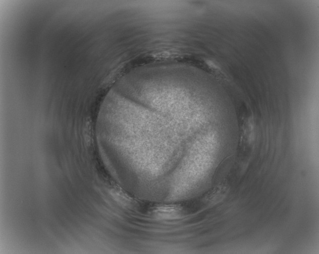 X0000062130659200512231439