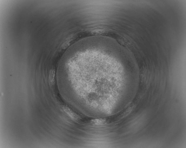 X0000062130660200512231439