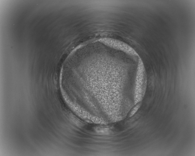 X0000062130661200512231439