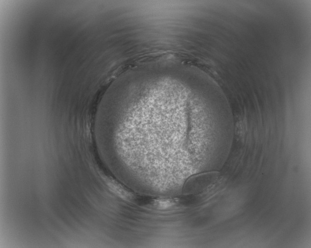 X0000062130662200512231439