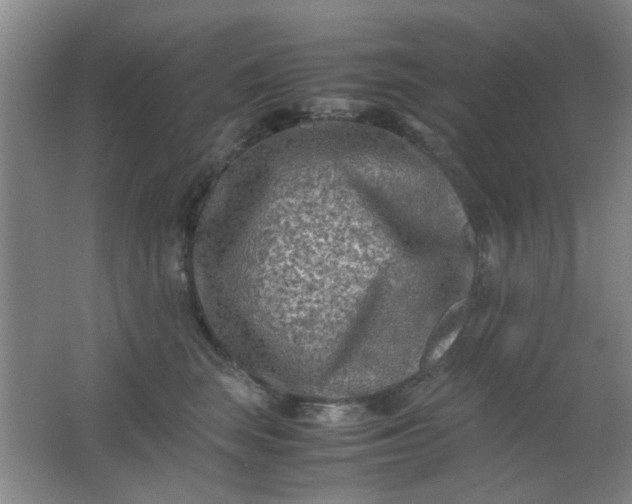 X0000062130663200512231439