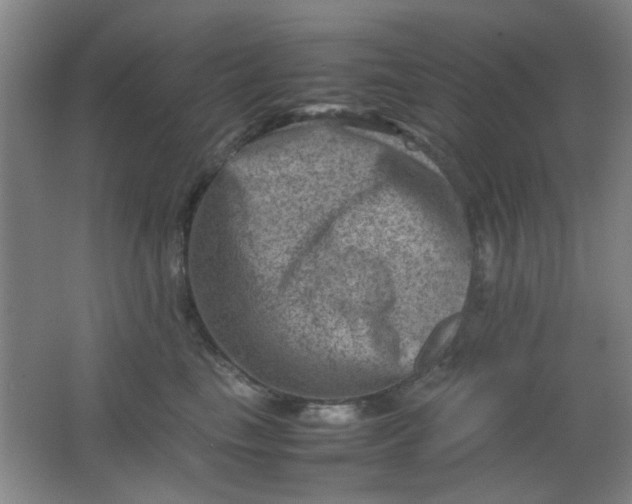 X0000062130665200512231439