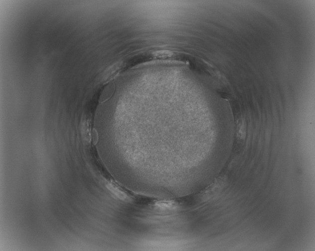 X0000062130666200512231439