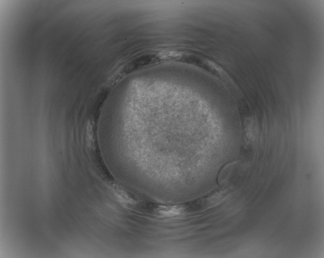 X0000062130667200512231439