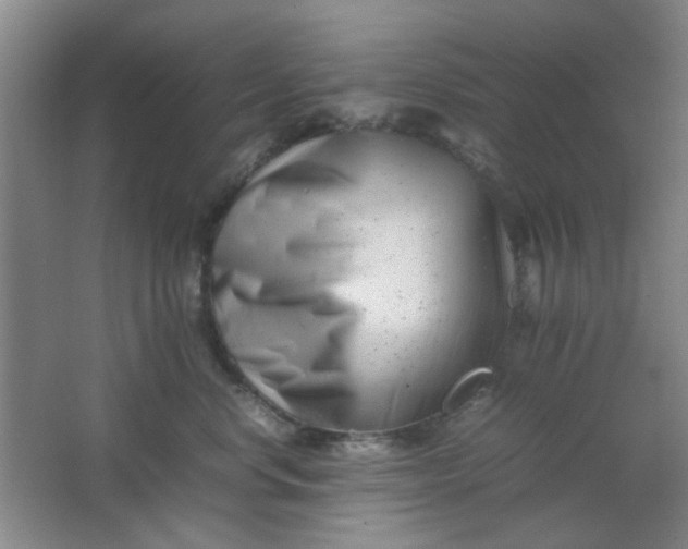 X0000062130668200512231439