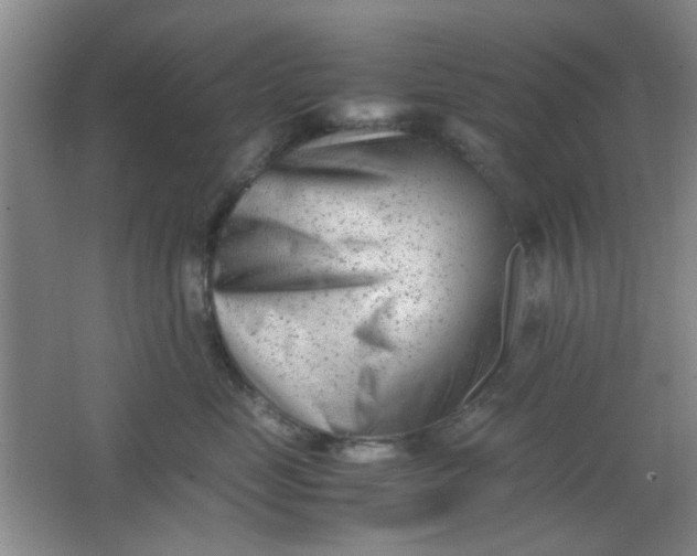 X0000062130669200512231440