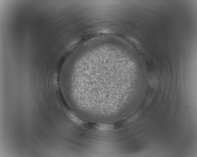 X0000062130670200512231440