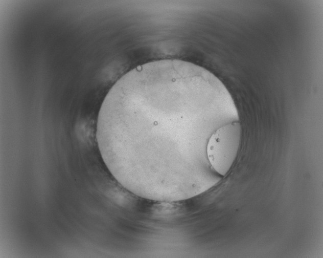 X0000062130672200512231440