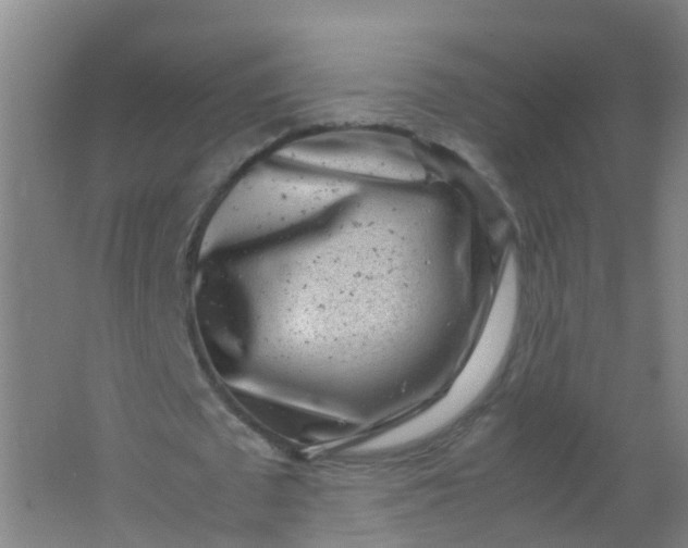 X0000062130673200512231439