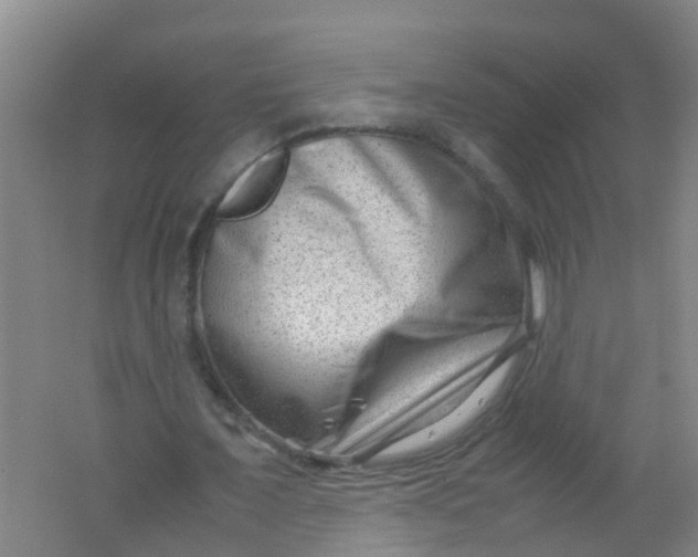 X0000062130675200512231439