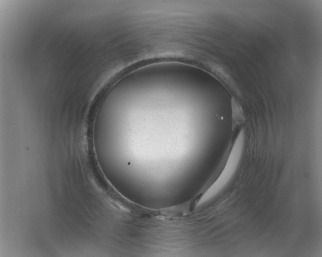 X0000062130676200512231439