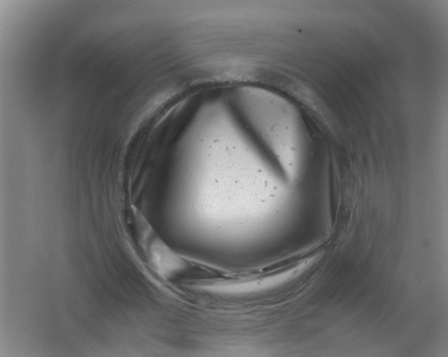 X0000062130677200512231439