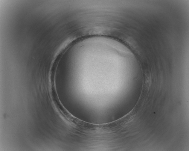 X0000062130678200512231439