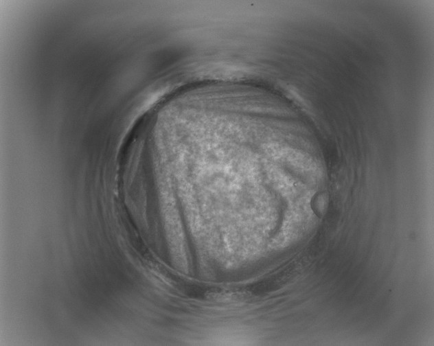 X0000062130679200512231439